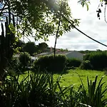 Casas Flores *