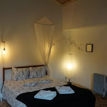 Casas Flores *