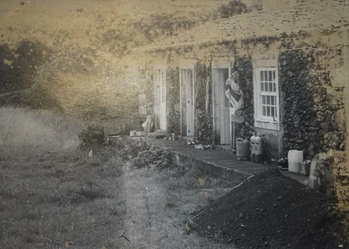 Casas Flores Apartamento